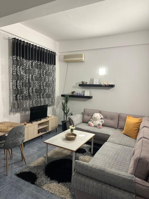 Apartment Near The Centre Of 티라나 외부 사진